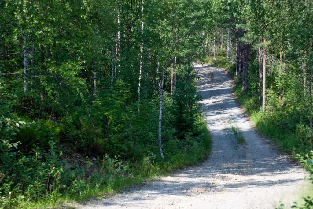 Koulukuljetukset