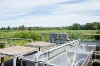 Matonpesupaikat