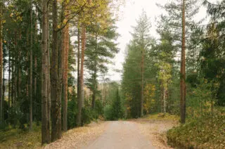 Yksityistiet