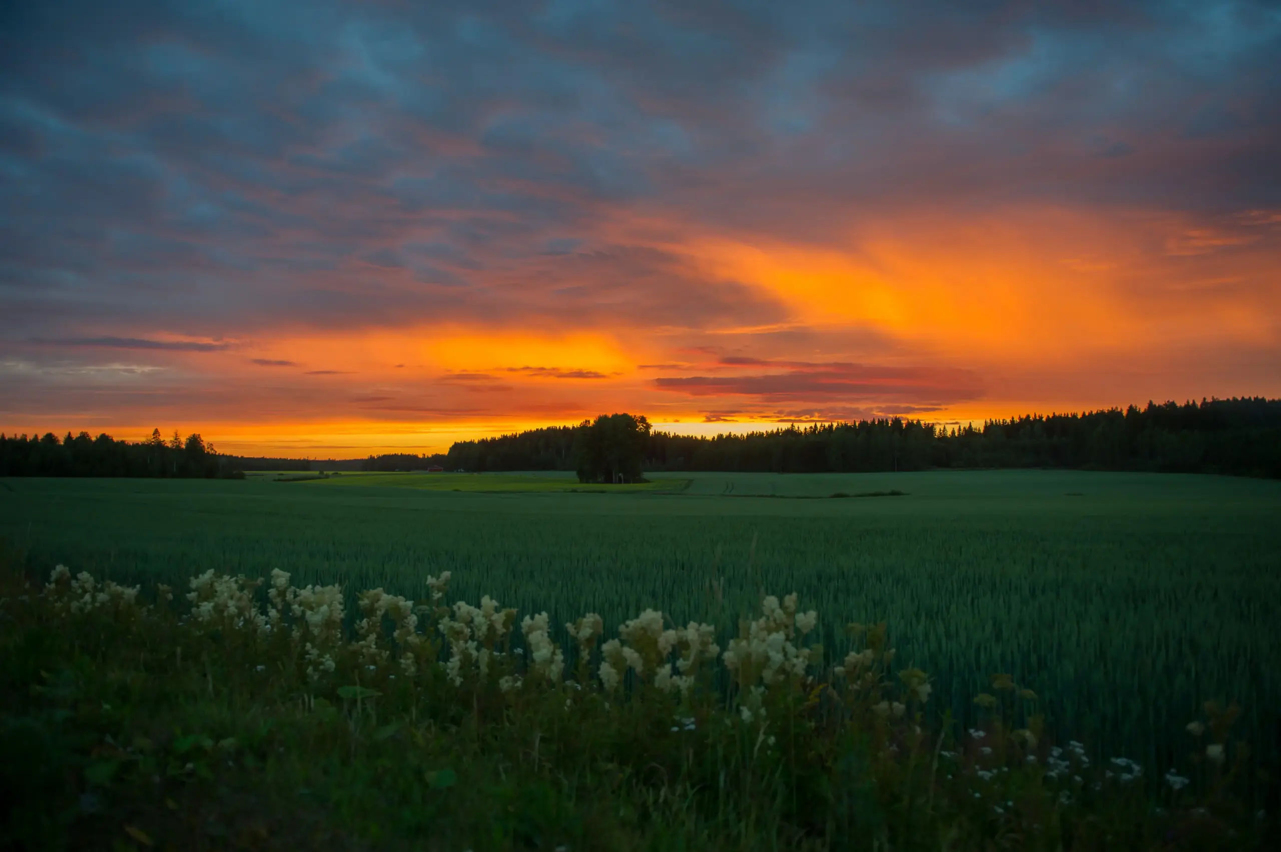 auringonlasku